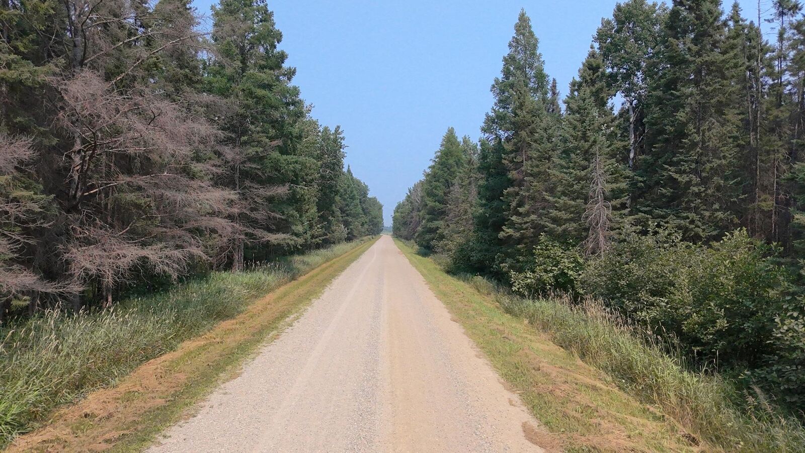 Property Photo:  Tbd 120 Acres Sunflower Road NE  MN 56650 