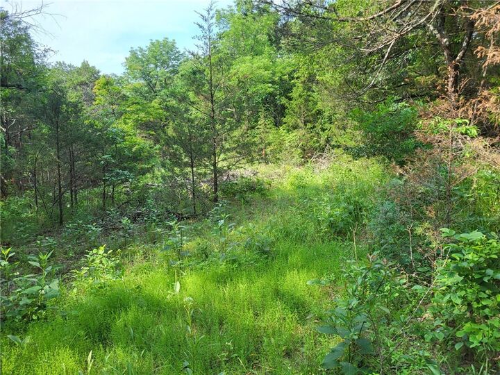 Property Photo: 483 County Road 231 AR 72631