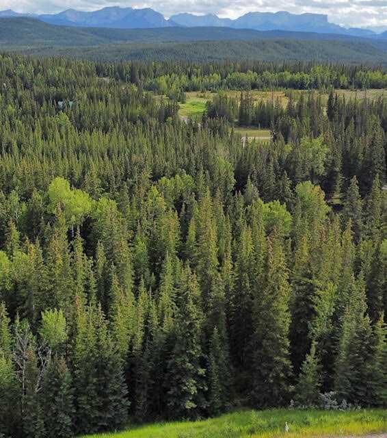 Property Photo:  2 Juniper Ridge  AB T7V 1X7 