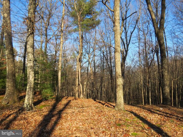 Property Photo:  10 Cedarwood Drive Road  WV 26812 