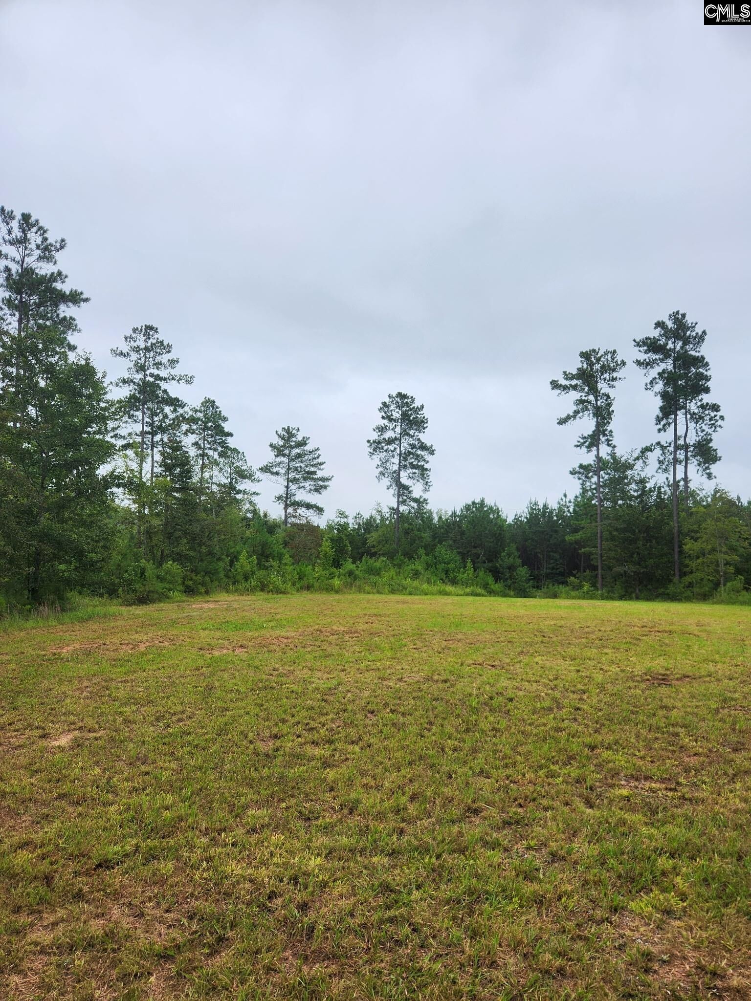 Property Photo:  203 Legend  SC 29138 