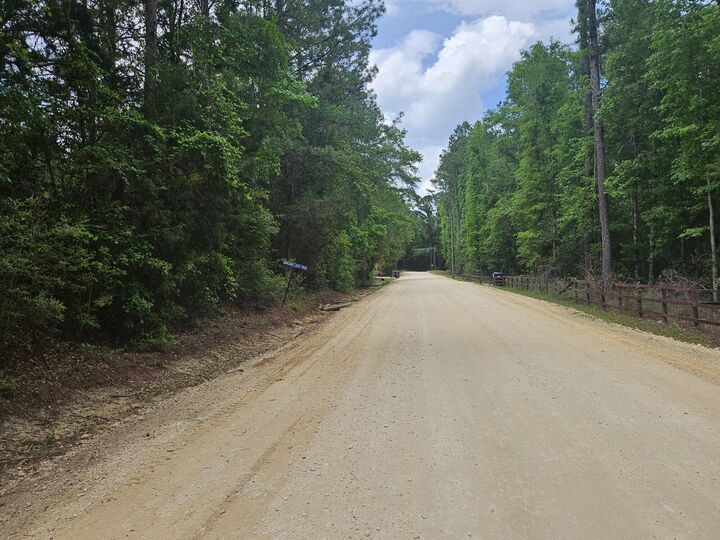 Property Photo:  2 Acres Tyner Lane  FL 32435 