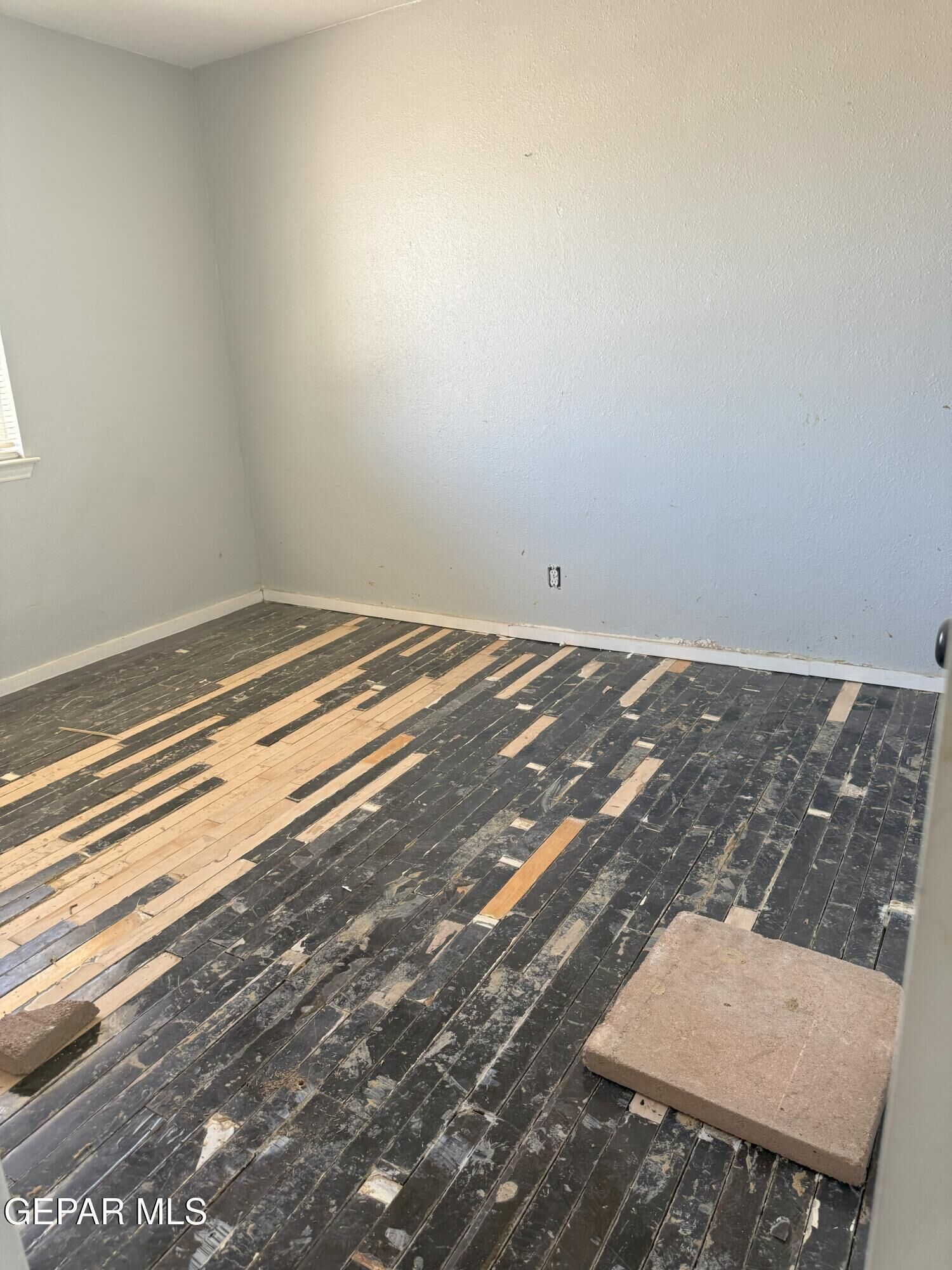 Property Photo:  11165 Shiner Avenue  TX 79936 