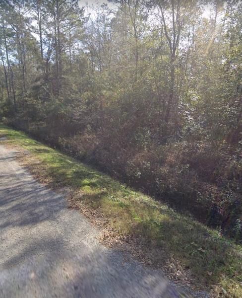 5055 Donald  Hastings FL 32145 photo