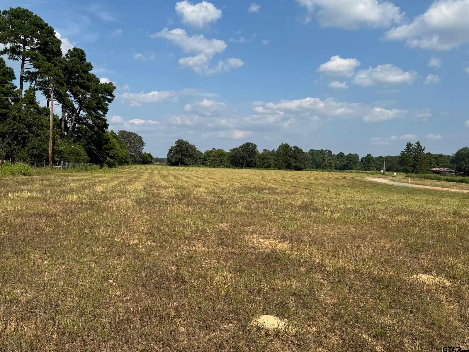 Property Photo: Tbd Pr 7402 TX 75765