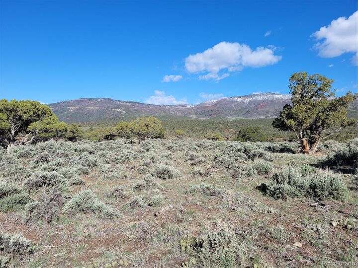 Property Photo:  755 Pinon Crest Way  CO 80479 