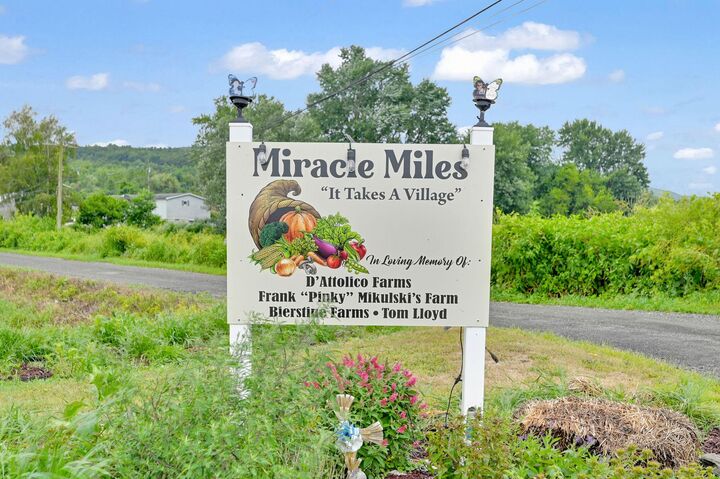 399 Mission Land Road  Pine Island NY 10969 photo