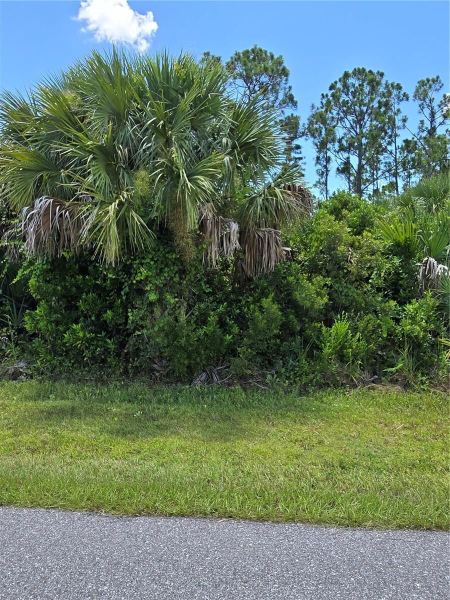 Property Photo:  15065 Hennipen Circle  FL 33981 