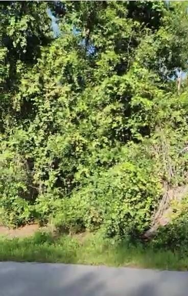 Property Photo: SE 97 Avenue FL 34491