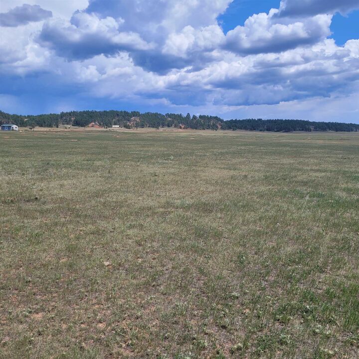 10239 Valley Road  Custer SD 57730 photo