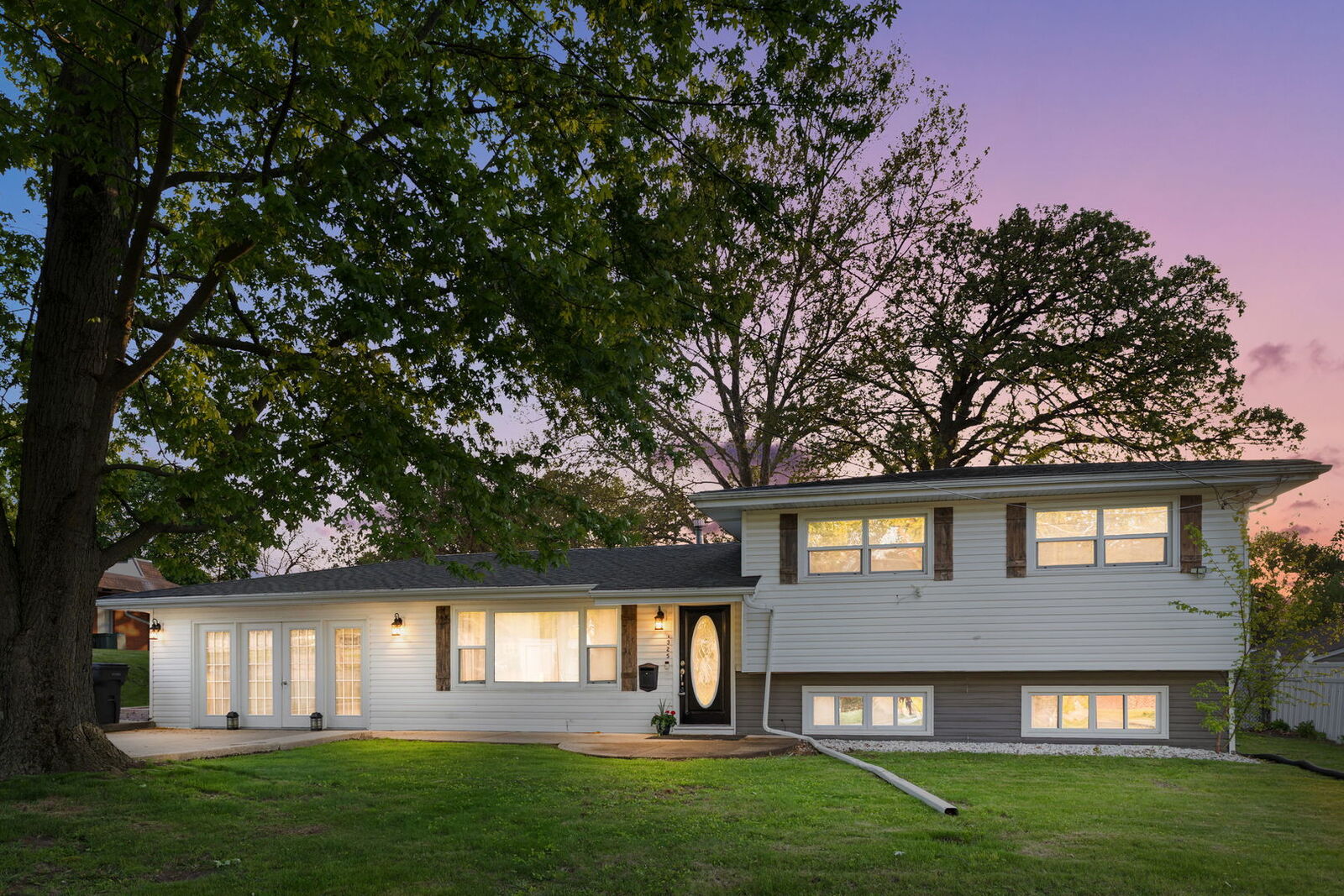 Property Photo:  1325 Douglas Avenue  IL 60538 