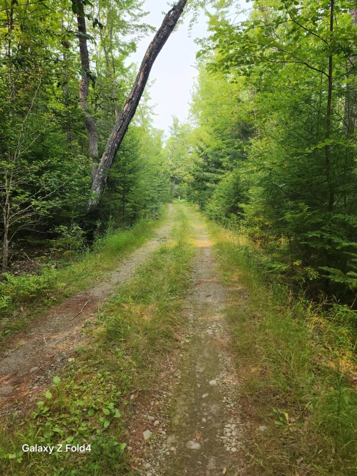 Property Photo: Lot 7-46-9 Clewley Road ME 04401
