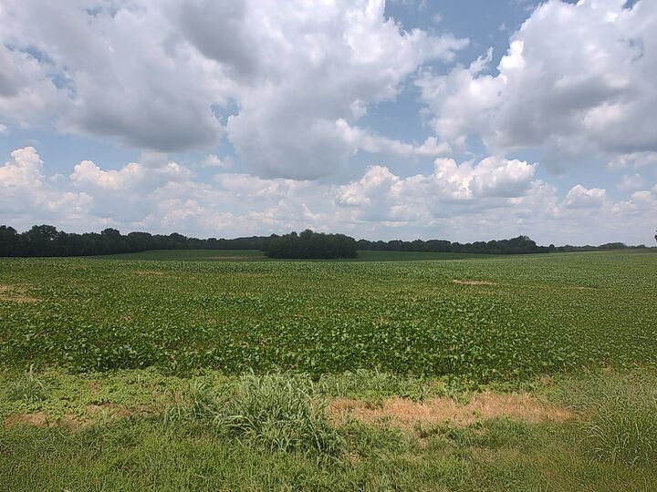 1 Benton  Cedar Hill TN 37032 photo