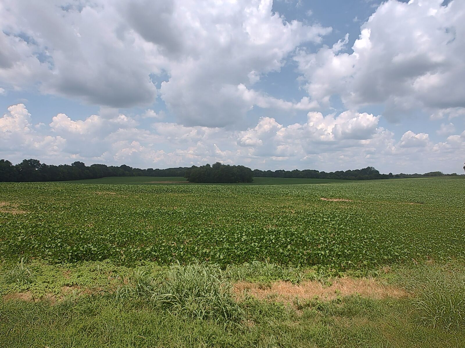 Property Photo:  1 Benton  TN 37032 