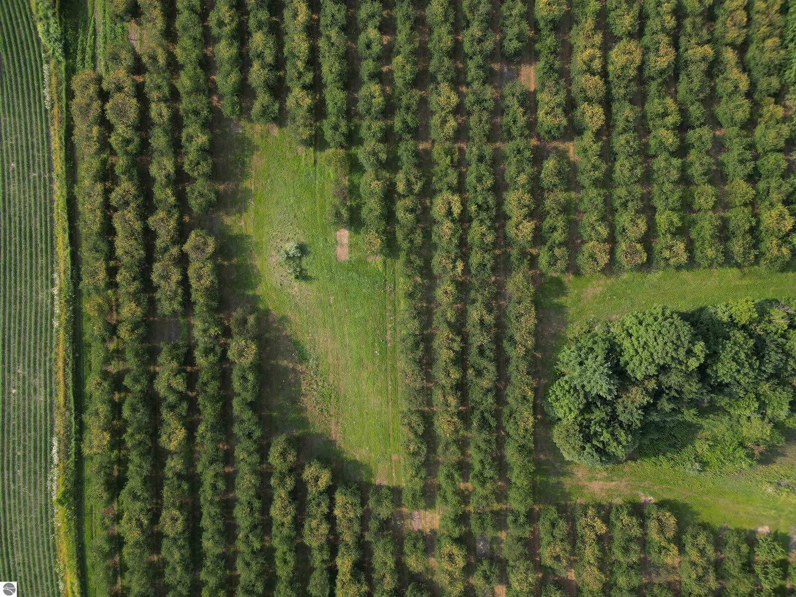 Property Photo:  000 E Traverse Highway  MI 49684 