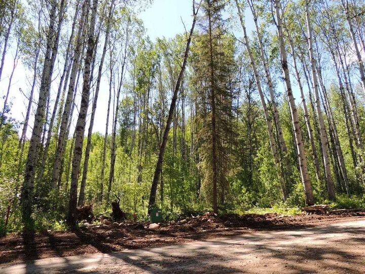 Property Photo: Lot #36 Wapiti River SW-21-69-10-W6 AB T0H 1J0