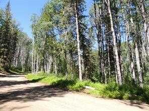 Property Photo: Lot #7 Wapiti River SW-21-69-10-W6 AB T0H 1J0