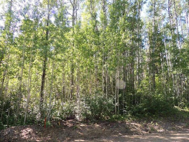 Property Photo: Lot #11 Wapiti River SW-21-69-10-W6 AB T0H 1J0