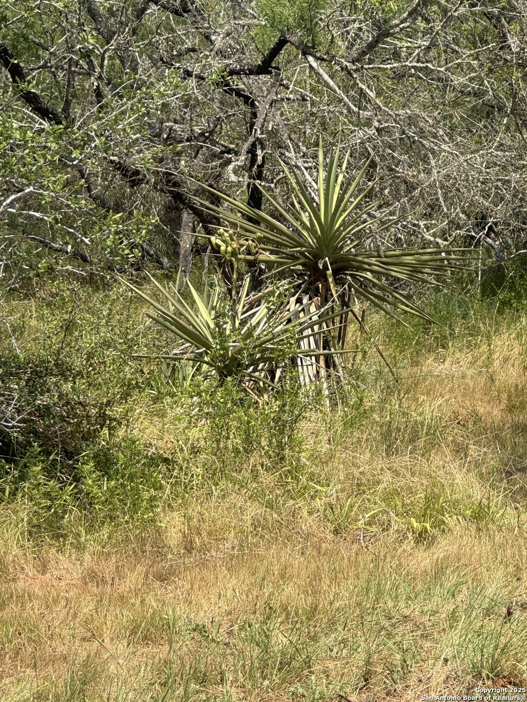 Property Photo:  5986 Fm 1107 Unit B  TX 78160