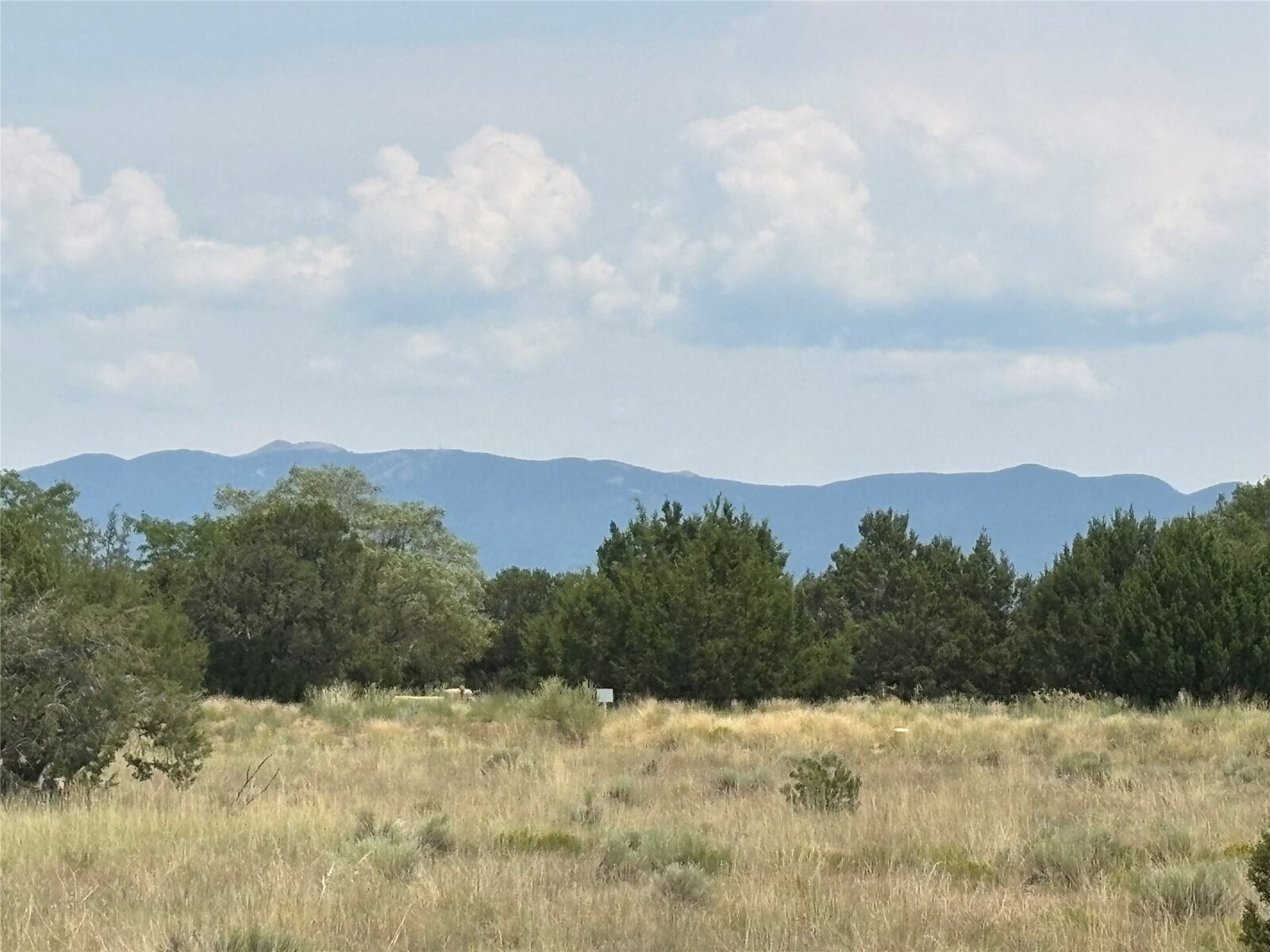Property Photo: 16 Calle Ventoso W Lot 814 NM 87506