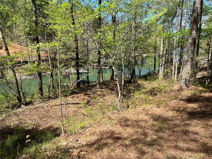 Property Photo: 217 Featherstone Drive SC 29685