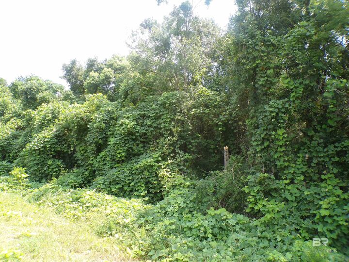 Property Photo:  Lipscomb Road  AL 36535 