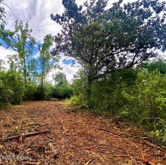 Property Photo:  0 Dogwood Street  FL 32438 