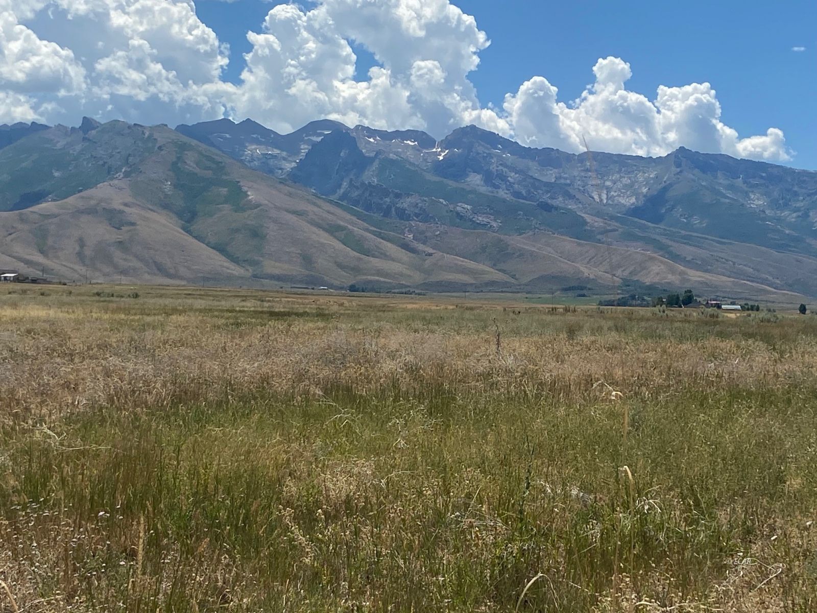 Property Photo: 80.21 Acres A NV 89828