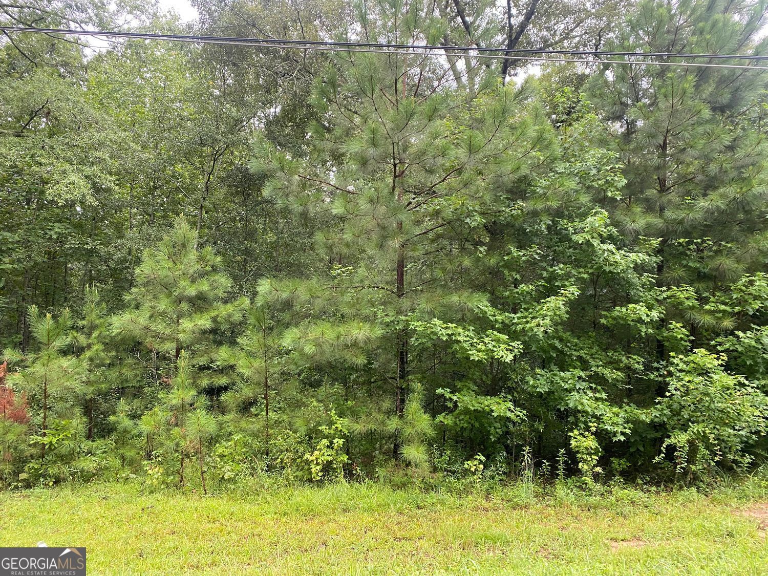 Property Photo:  0 Holtzclaw Road  GA 30220 
