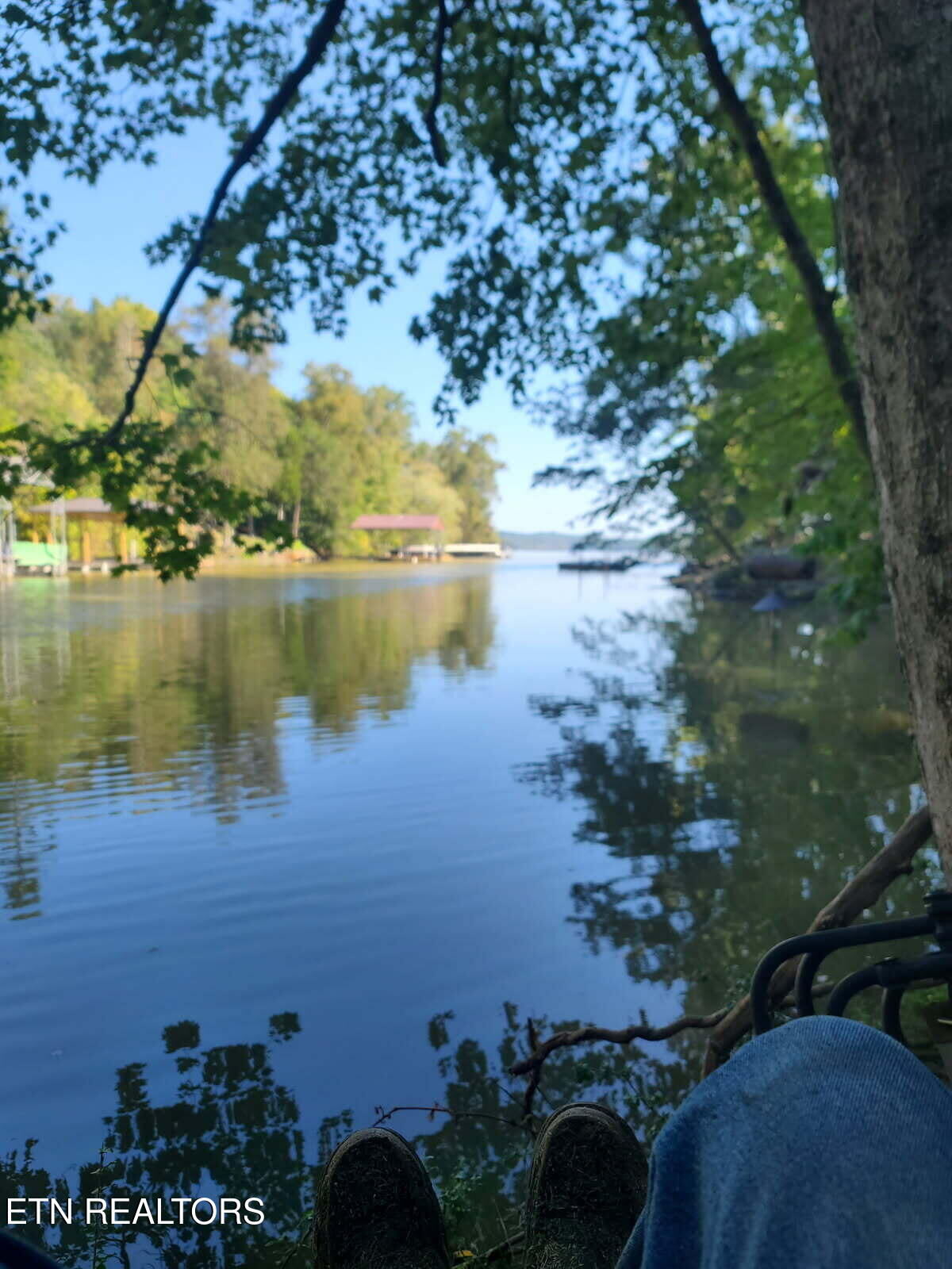 Property Photo:  675 Blue Water Tr  TN 37381 