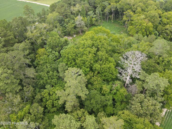 Property Photo: 1306 US 258 NC 27818