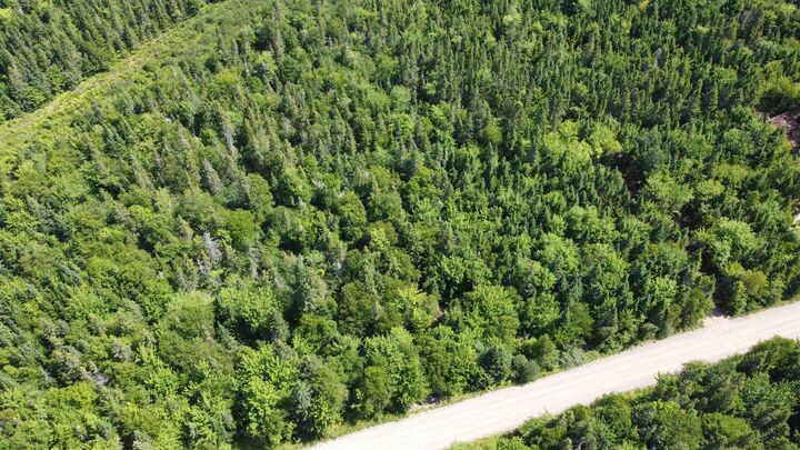 Property Photo:  Lot 2 Calabash Road  NS B1X 1K1 