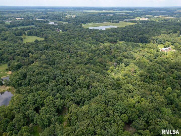 Property Photo:  2655 McReynolds Lane  IL 62896 