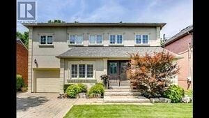 Property Photo: 244 Horsham Avenue #Bsmt ON M2N 2A6