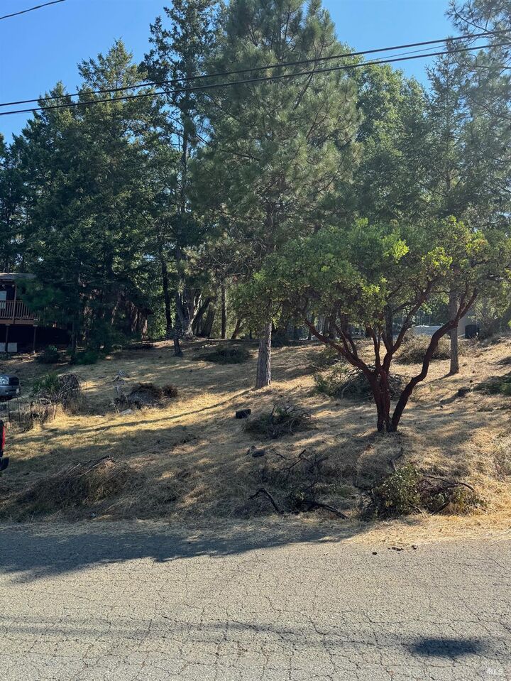 Property Photo: 1596 Daphne Drive CA 95490