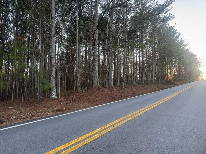 Property Photo: 0 Clem Lowell Road GA 30116