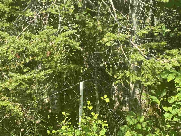 1520 Trails End Rd  Mackinaw City MI 49701 photo