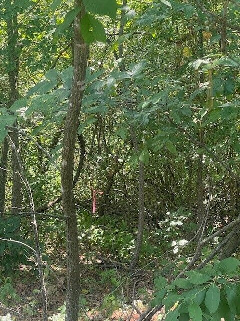 Property Photo:  Lot 8 Keith Circle  AR 72715 