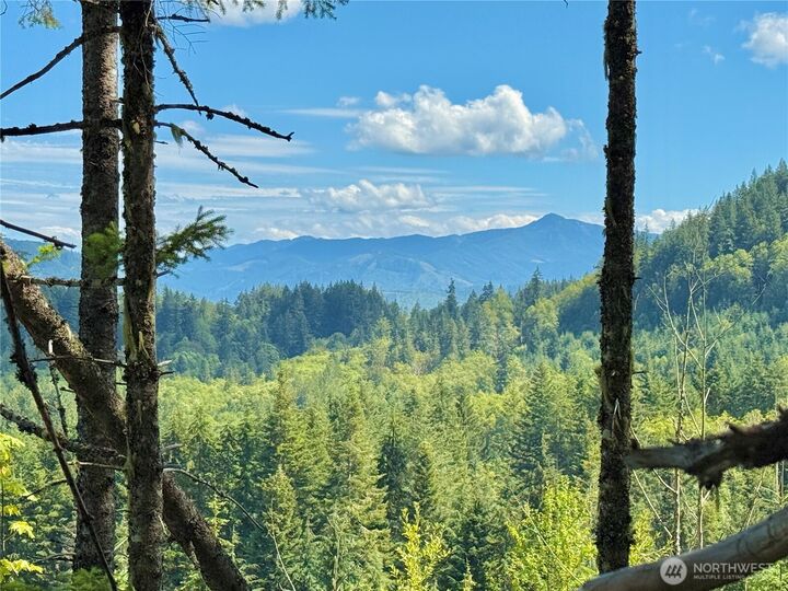 49923  146th Avenue E  Eatonville WA 98328 photo