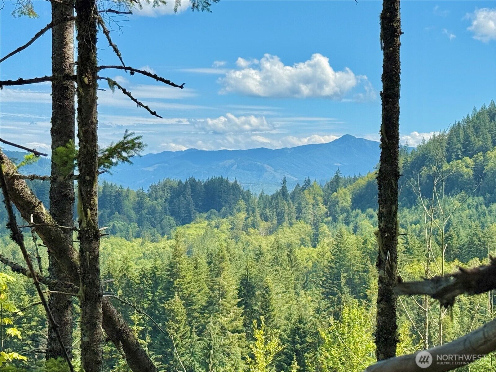Property Photo:  49923  146th Avenue E  WA 98328 