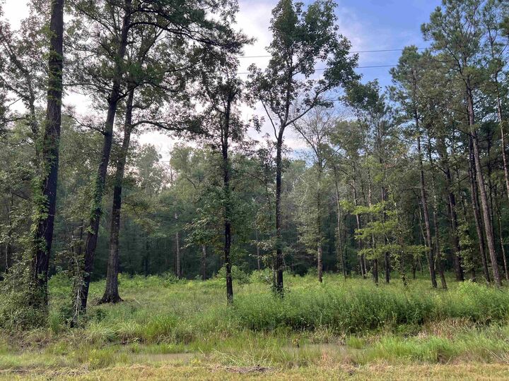 1715 Bobcat Circle  Orange TX 77630 photo