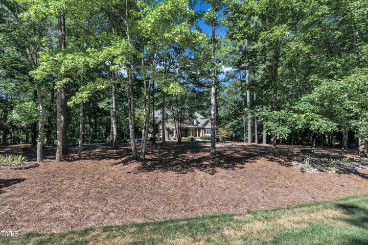 Property Photo:  172 Ocoee Falls Drive  NC 27517 