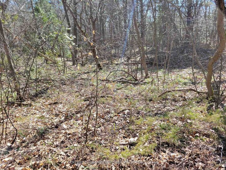 Property Photo:  16 Giant'S Tomb Island N/A  ON L9M 1R2 