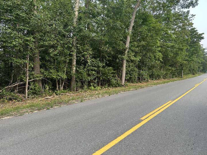 Property Photo:  V/L 1 Ac Passenheim Road  MI 49735 