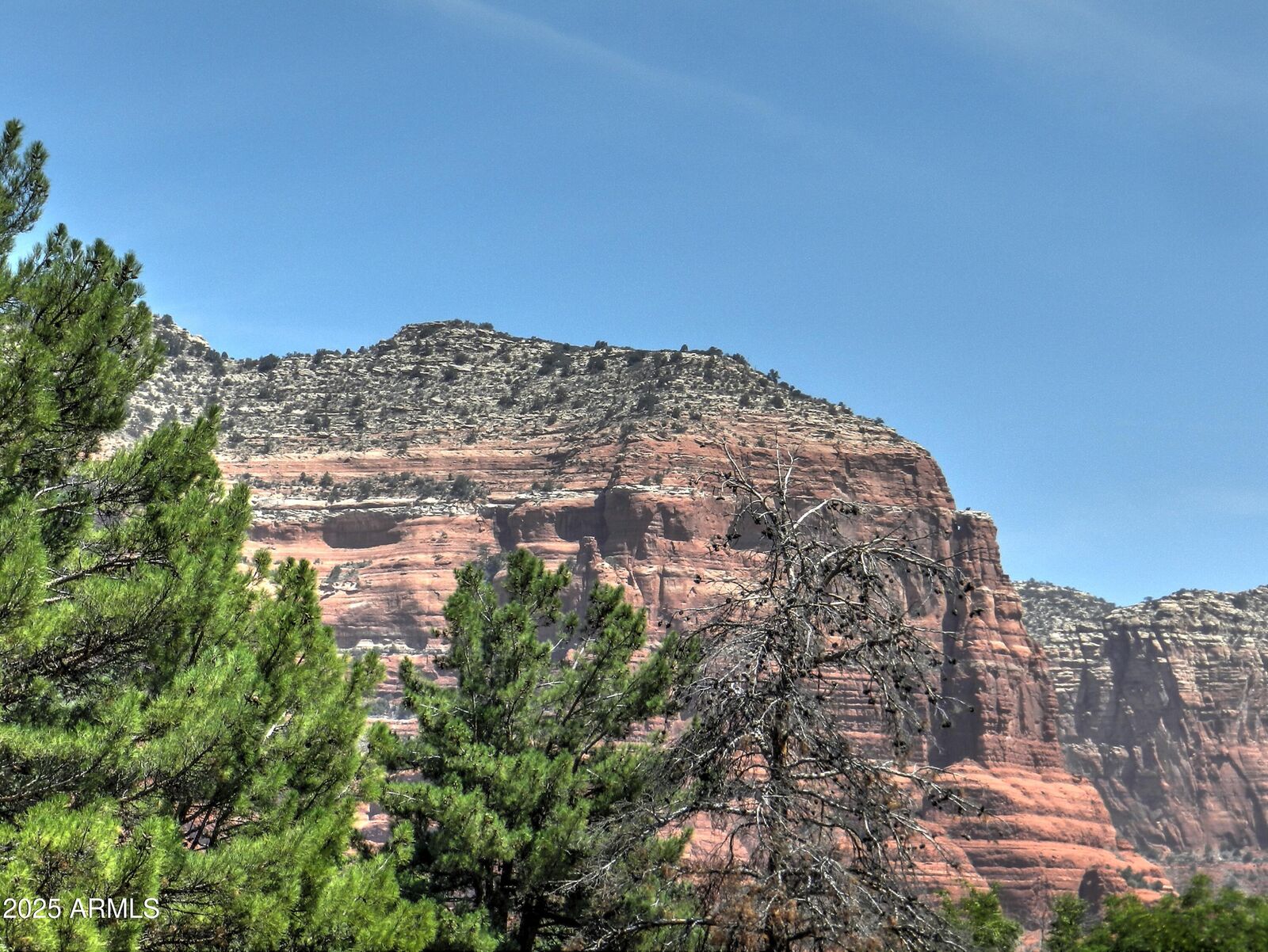 Property Photo:  115 E Cortez Drive 208  AZ 86351 