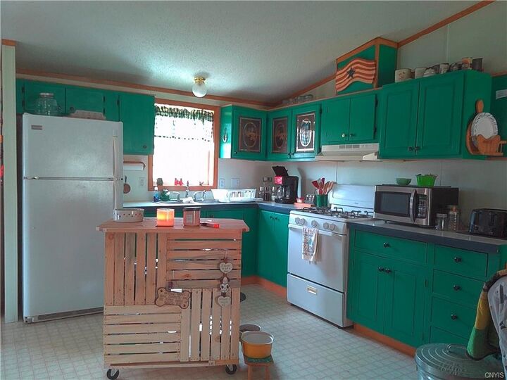 Property Photo:  117 Kinny Road  NY 13801 