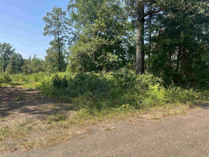 Property Photo: Tbd Ozark Loop AR 71929