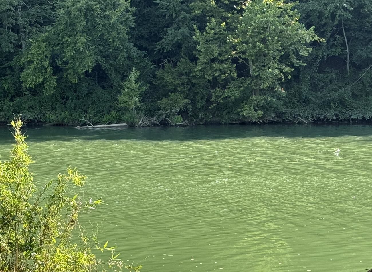 Property Photo:  00 Highway 63  AR 72542 