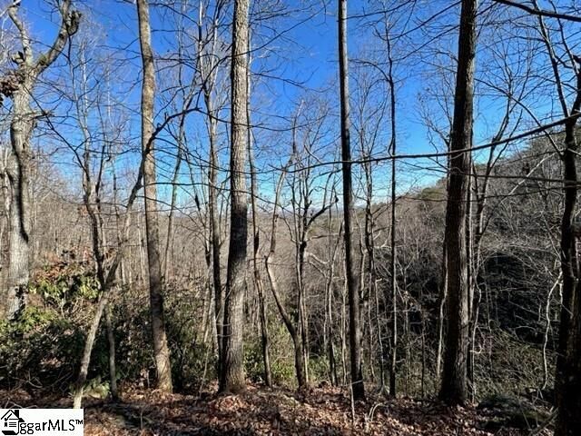 Property Photo: 0 Chestnut Ridge Road SC 29609
