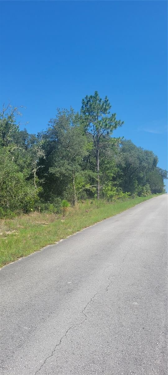 Property Photo: 0 SW Big Bear Ridge FL 34431